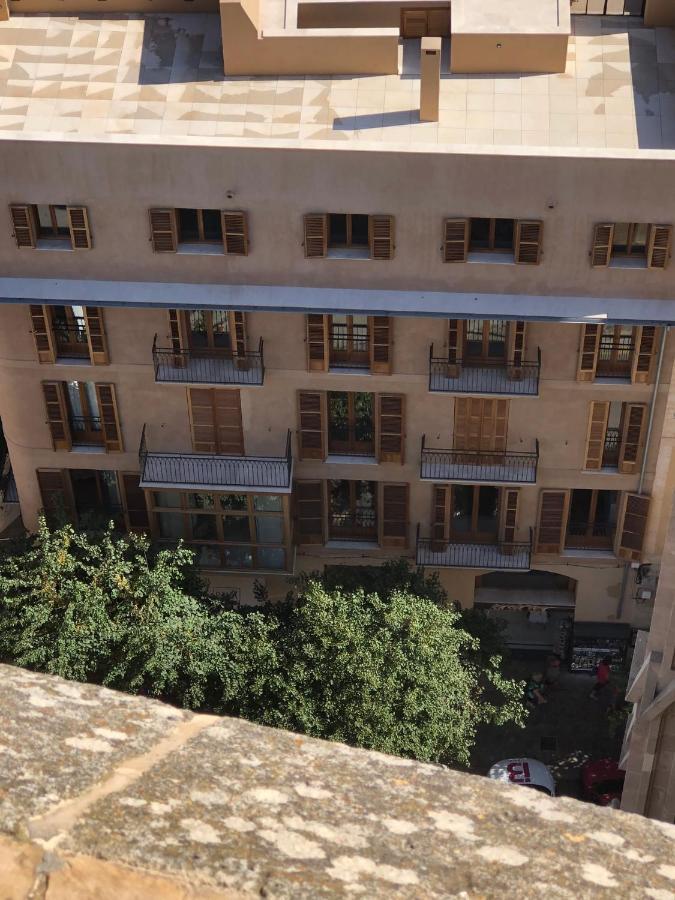 Vila Damunt Palma Kültér fotó