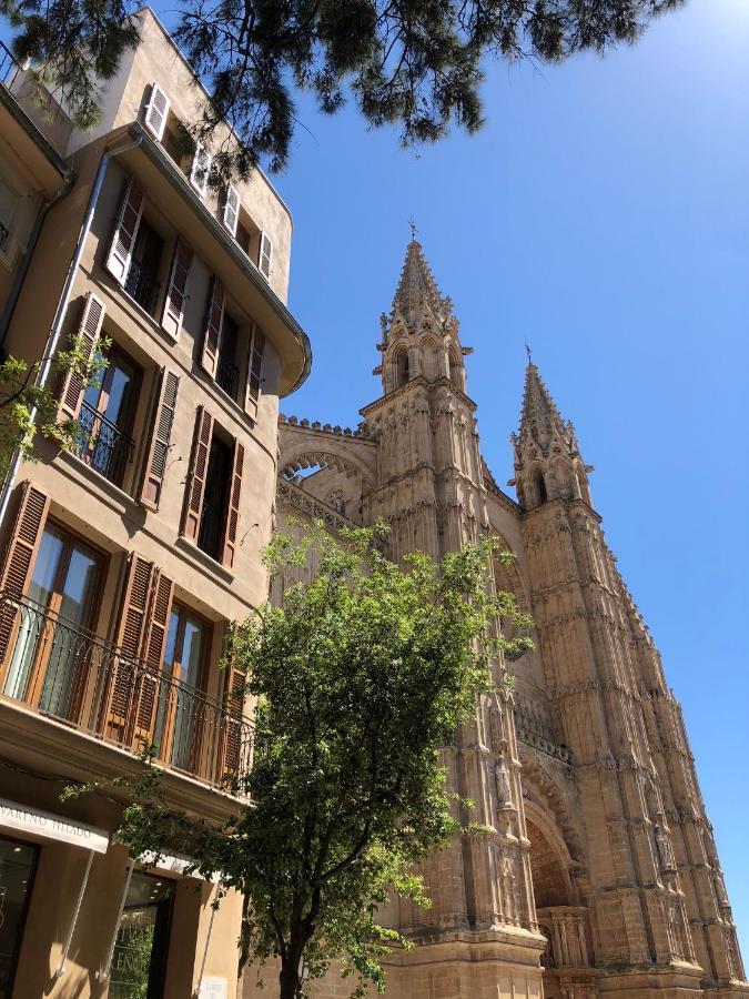 Vila Damunt Palma Kültér fotó